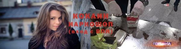 стаф Абинск