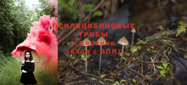 соль ск Магас