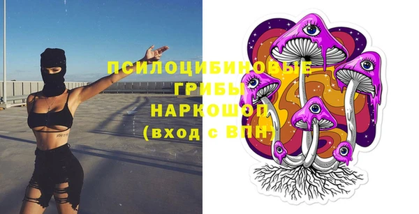 стаф Абинск