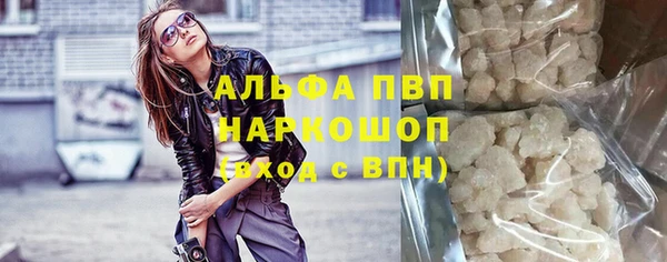 стаф Абинск