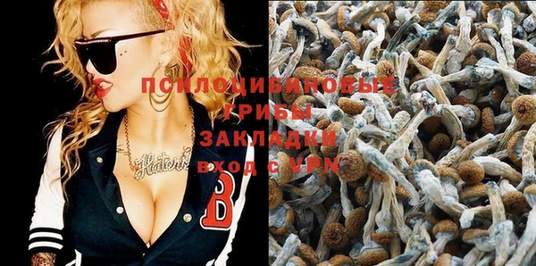 spice Абдулино