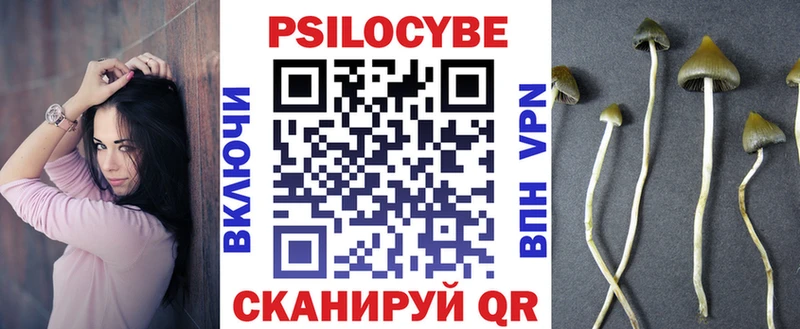Галлюциногенные грибы GOLDEN TEACHER  блэк спрут рабочий сайт  Жуковский  где найти наркотики 