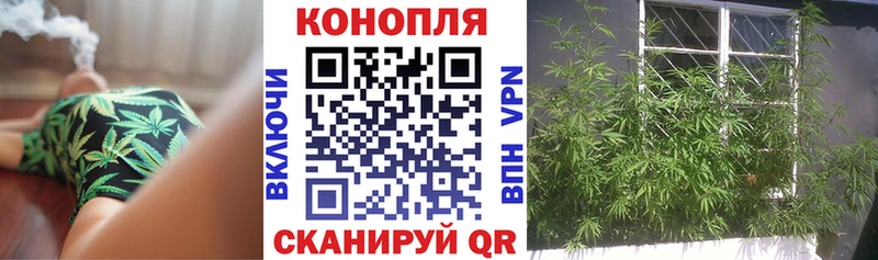 Канабис гибрид  mega маркетплейс  Жуковский 